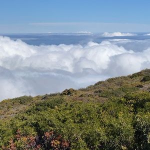 Make An Offer or add 3 or more items for a bundle discount